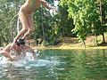 Dive