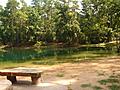 Swimlake