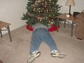 Jason getting eaten by the Christmas tree