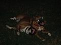 Shasta & Kaiser
