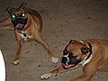 Shasta & Kaiser
