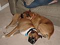 Shasta & Kaiser