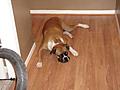 Cool hardwood floors