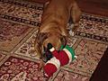 Toy survived 20 minutes