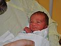 Harrison day 5
