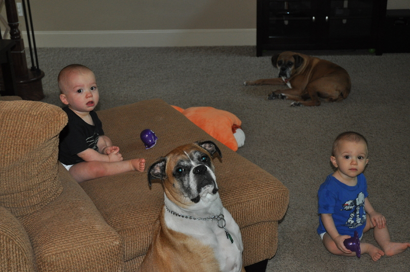 My 4 babies