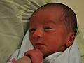 Harrison day 5
