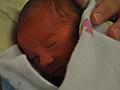 Harrison day 5