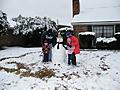 Lousiana Snow