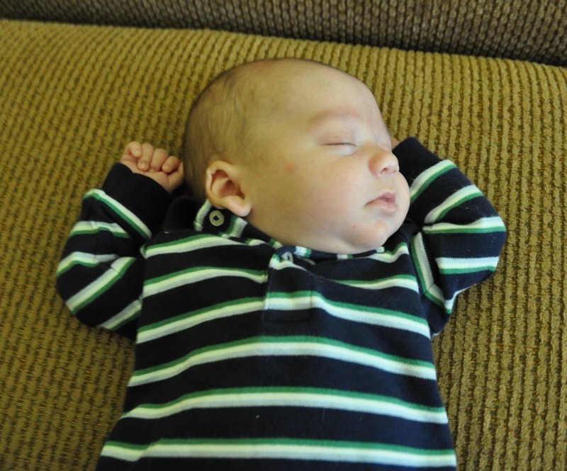 Harrison chilling