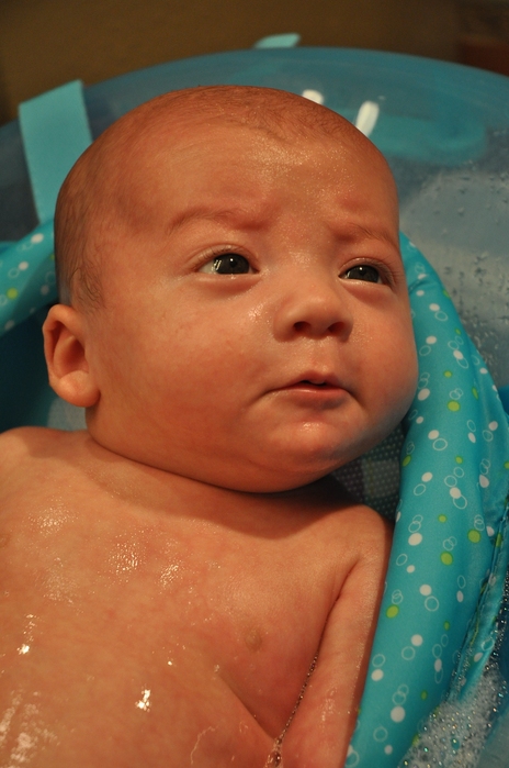 Harrison