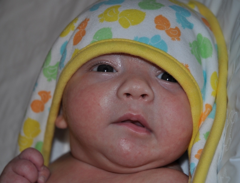 Harrison