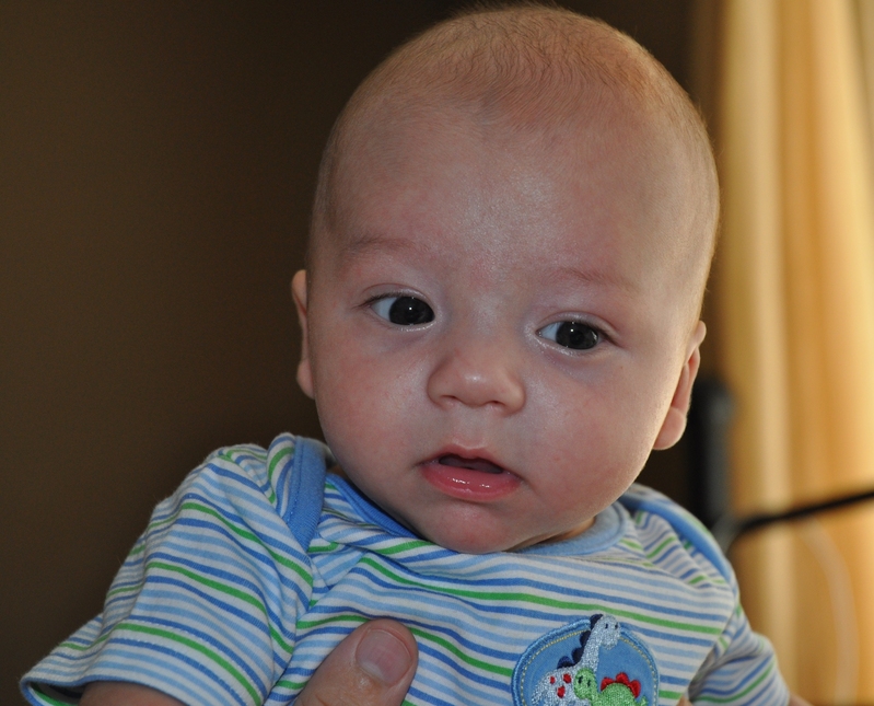 Harrison