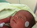 Harrison