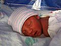 Harrison day 5