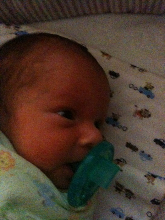 Hayden