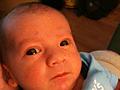Harrison