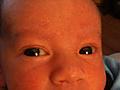 Harrison