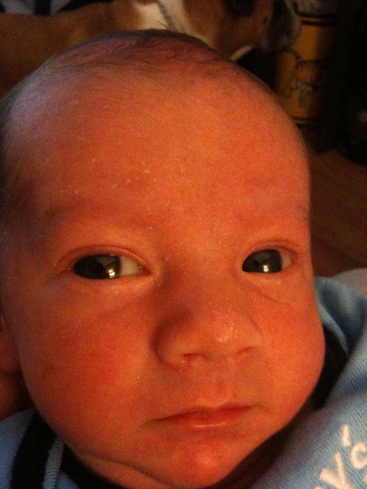 Harrison