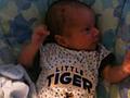 Tiger Hayden