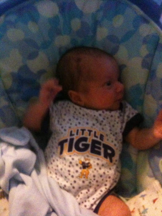 Tiger Hayden