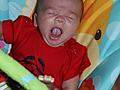 Harrison Yawning