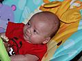 Harrison