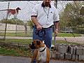 Adoption day