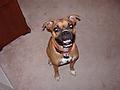 Shasta smiling