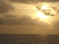 Mexican Sun